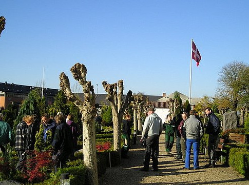 2007 Borbjerg3
